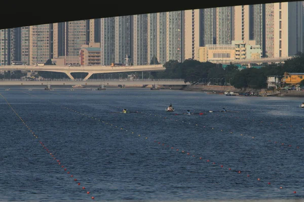 5 Nov 2011  team rowing to the at Shek Mun, hk