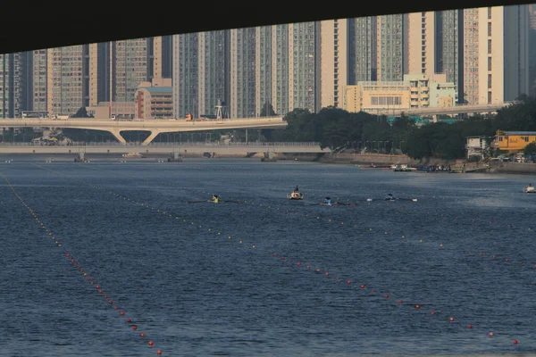 5 Nov 2011  team rowing to the at Shek Mun, hk