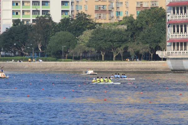 5 Nov 2011  team rowing to the at Shek Mun, hk