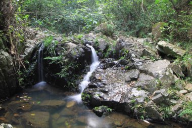 8 Oct 2011 Shing Mun Reservoir Creek,  Shing Mun Reservoir