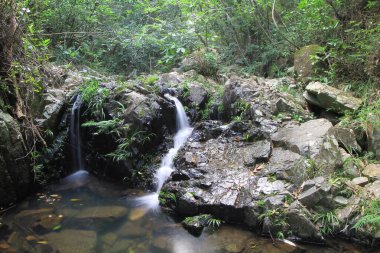8 Oct 2011 Shing Mun Reservoir Creek,  Shing Mun Reservoir
