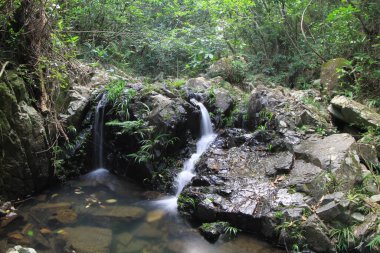 8 Oct 2011 Shing Mun Reservoir Creek,  Shing Mun Reservoir