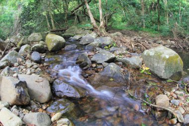 8 Oct 2011 Shing Mun Reservoir Creek,  Shing Mun Reservoir