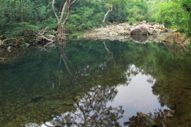 8 Oct 2011 Shing Mun Reservoir Creek,  Shing Mun Reservoir