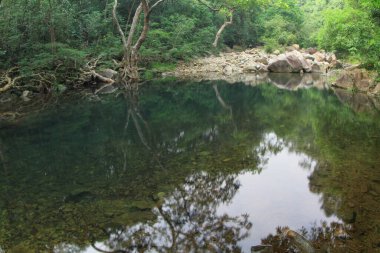 8 Oct 2011 Shing Mun Reservoir Creek,  Shing Mun Reservoir