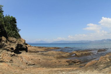 Tortul kaya..... Tung Ping Chau, Hong Kong Geopark katmanları