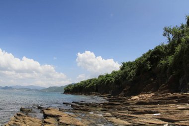 Tortul kaya..... Tung Ping Chau, Hong Kong Geopark katmanları