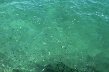 the background Green sea water in calm