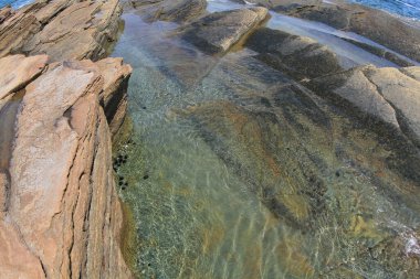 Deniz kestanesi taşı suya yakın olduğu
