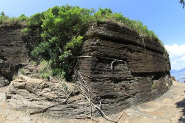 13 Sept 2011 Tung Ping Chau Marine Park of Hong Kong