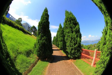 31 July 2011 the Footpath with tree at the HKUST