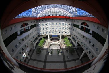 31 July 2011 the Courtyard at HKSUT campus sai kung, hong kong 