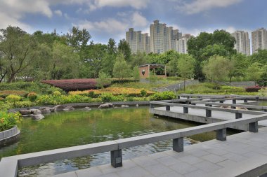 27 Aug 2022 Pond, Hang Hau Man Kuk Lane Park at hong kong