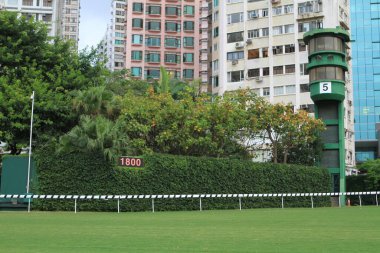 a Happy Valley Racecourse in Hong Kong 10 July 2011