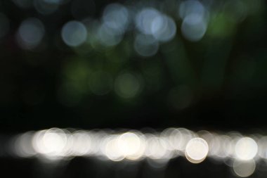 the green forest and river,  the River Park