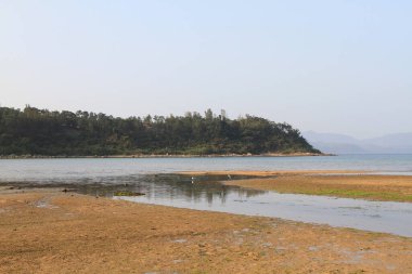 the landscape of Starfish Bay,  the nature concept