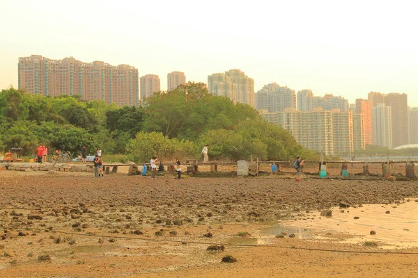 Shan New Town Eastern Coast Tolo Harbour — Zdjęcie stockowe