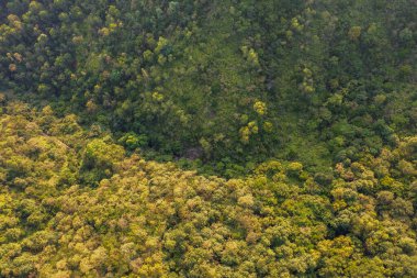 2022 May 5 the nature view of Mau Wu shan, hk