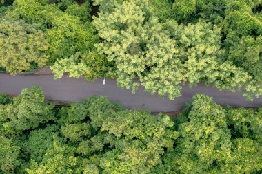 2022 May 5 Aerial view of green forest with top view the road,