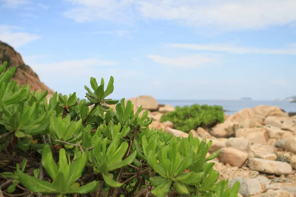 the landscape of shek o, hong kong