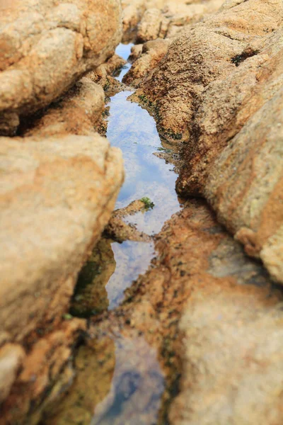 Shoreline Shek Hong Kong — Stockfoto