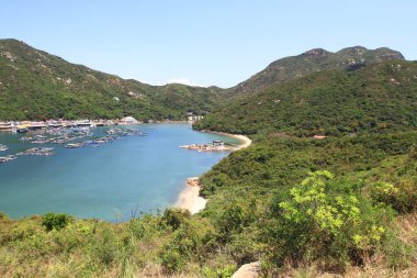 10 Mayıs 2011 geleneksel balık köyü, Pichic Körfezi, Hong Kong