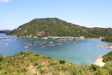 10 Mayıs 2011 geleneksel balık köyü, Pichic Körfezi, Hong Kong