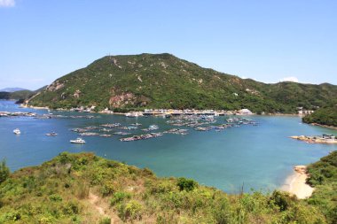 10 Mayıs 2011 geleneksel balık köyü, Pichic Körfezi, Hong Kong