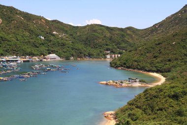 10 Mayıs 2011 geleneksel balık köyü, Pichic Körfezi, Hong Kong