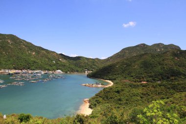 10 Mayıs 2011 geleneksel balık köyü, Pichic Körfezi, Hong Kong