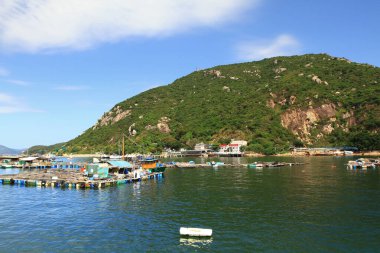 10 Mayıs 2011 Pichic Körfezi Hong Kong manzarası