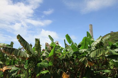 10 Mayıs 2011 Lama Adası, Hong Kong manzarası