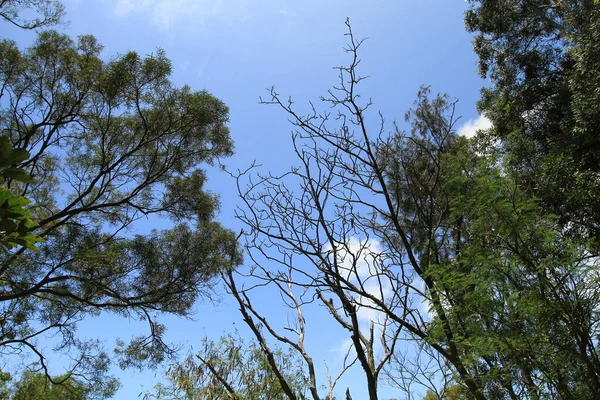 Mei 2011 Prachtige Natuur Het Landschap Van Pichic Bay — Stockfoto