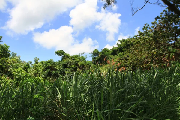 Maj 2011 Landskapet Lama Hong Kong — Stockfoto