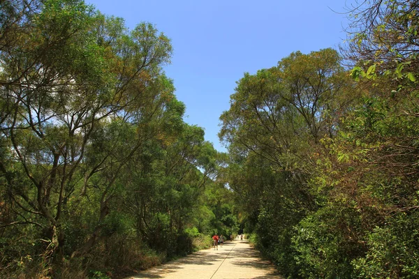 Mei 2011 Het Landschap Van Lama Eiland Hong Kong — Stockfoto