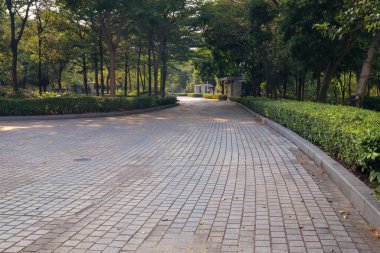 13 Eylül 2022 Yeni patika ve güzel ağaçlar yürümek için pist