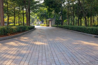 13 Eylül 2022 Yeni patika ve güzel ağaçlar yürümek için pist