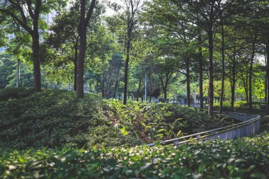 Yaprak resmi, doğa konsepti fotoğrafı.