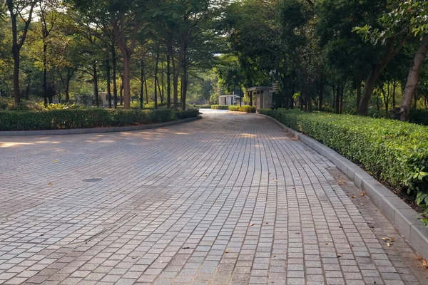 13 Eylül 2022 Yeni patika ve güzel ağaçlar yürümek için pist