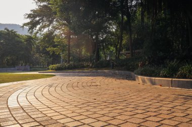 13 Eylül 2022 Yeni patika ve güzel ağaçlar yürümek için pist