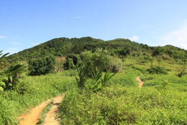 25 Haziran 2011 Yüksek hurda zirve yürüyüşü manzarası, Hong Kong 