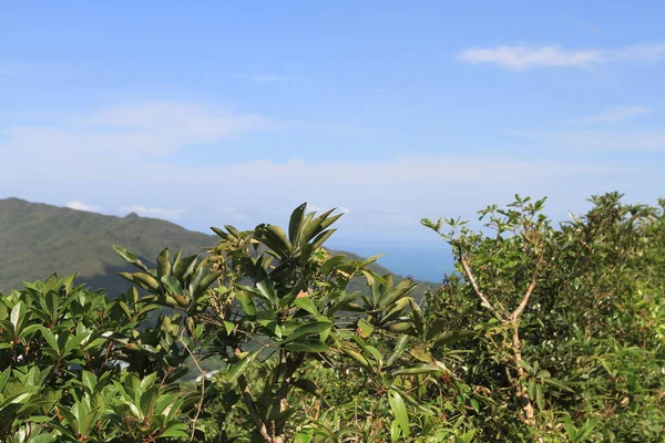 Junho 2011 Paisagem Alta Caminhada Pico Lixo Hong Kong — Fotografia de Stock