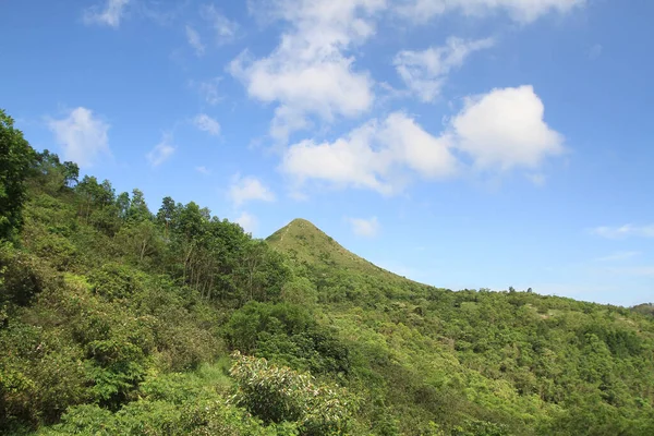 Junio 2011 Paisaje Alta Caminata Pico Basura Hong Kong —  Fotos de Stock