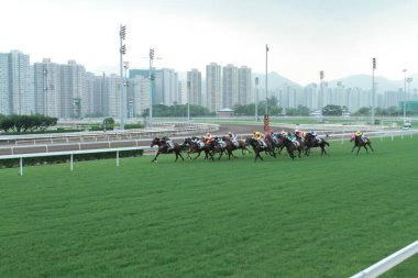 11 Temmuz 2011 Sha Tin Racecourse, Sha Tin, Yeni Bölgeler.