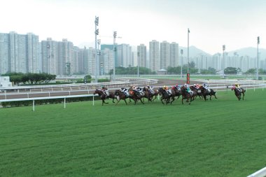 11 Temmuz 2011 Sha Tin Racecourse, Sha Tin, Yeni Bölgeler.