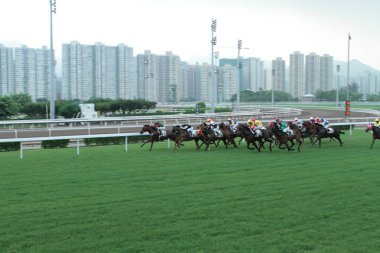 11 Temmuz 2011 Sha Tin Racecourse, Sha Tin, Yeni Bölgeler.