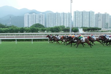 11 Temmuz 2011 Sha Tin Racecourse, Sha Tin, Yeni Bölgeler.