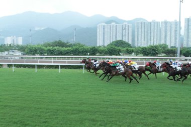 11 Temmuz 2011 Sha Tin Racecourse, Sha Tin, Yeni Bölgeler.