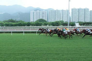11 Temmuz 2011 Sha Tin Racecourse, Sha Tin, Yeni Bölgeler.
