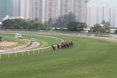 11 Temmuz 2011 Sha Tin Racecourse, Sha Tin, Yeni Bölgeler.